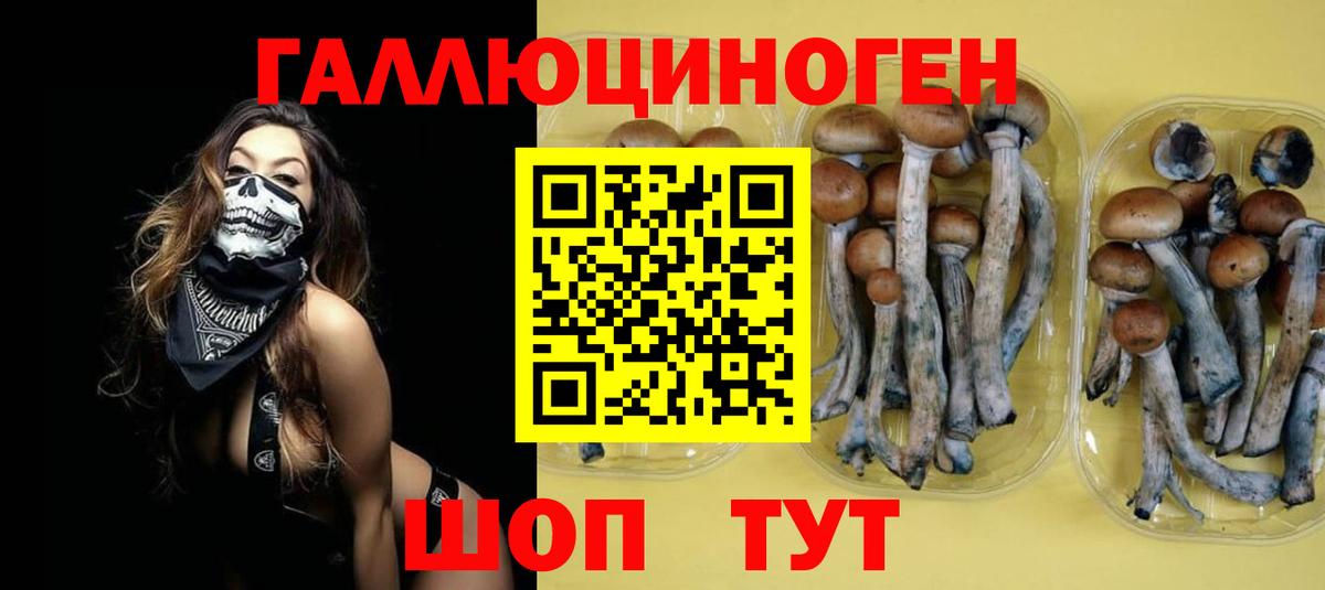 Псилоцибиновые грибы мицелий Выборг